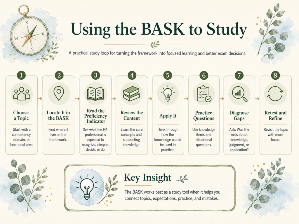 using the bask study loop chatgpt image aug 25, 2026, 01 32 22 pm